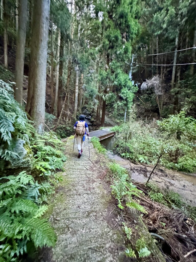 大国見山を登る