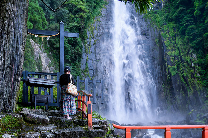 コトホギのウツギです。和歌山県那智の滝 飛瀧神社にて。