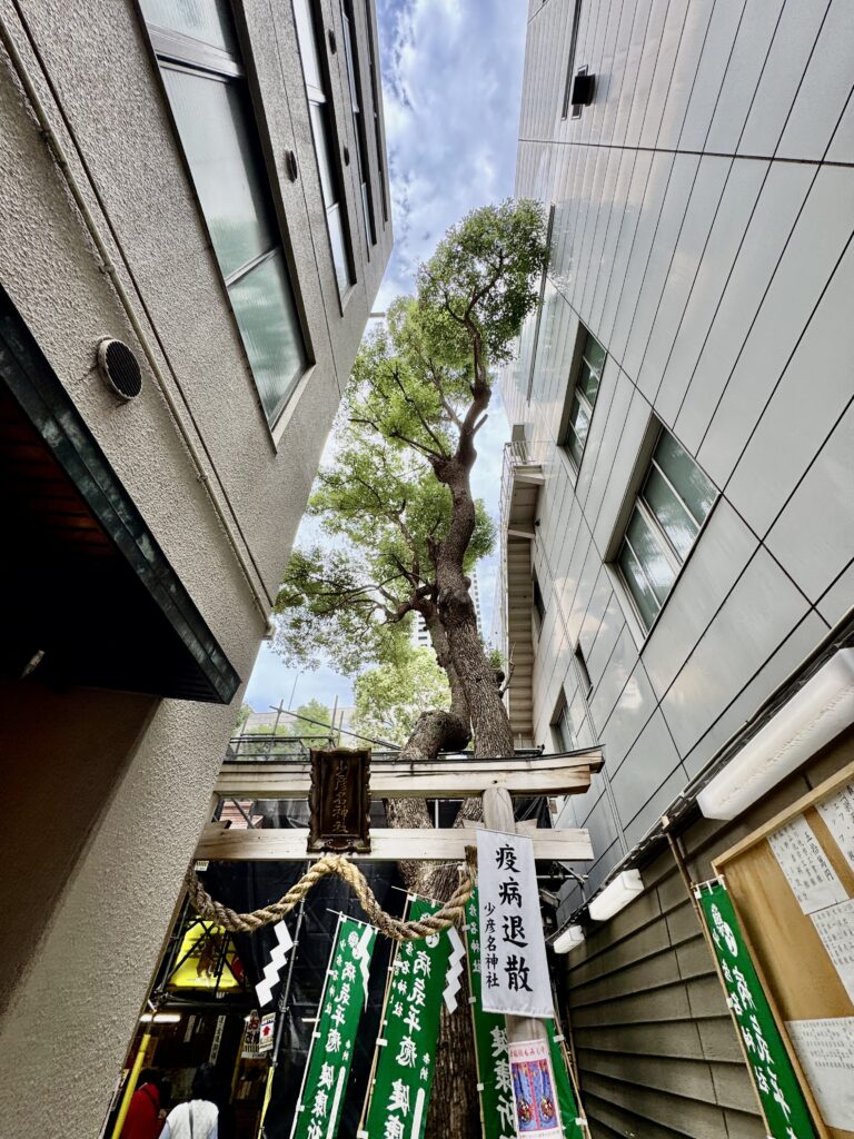 少彦名神社（神農さん）