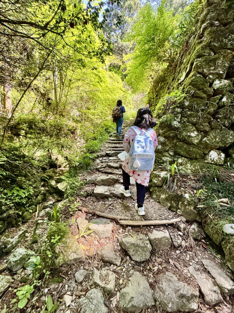 槇尾山 施福寺 参道